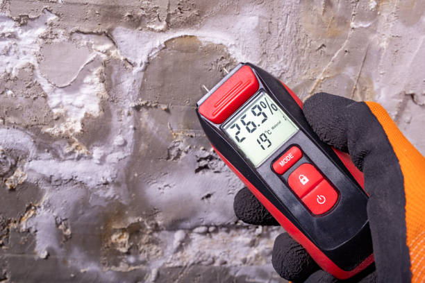 Best Health and Safety Mold Remediation in Winnsboro, SC
